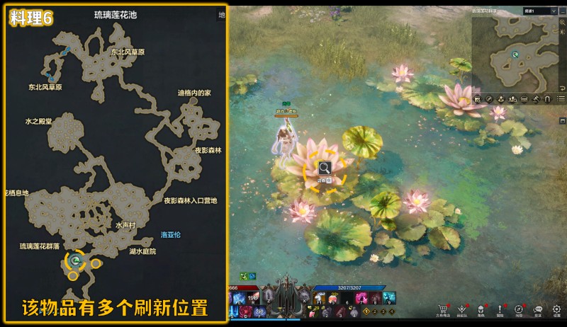 命运方舟罗恒戴尔料理收集大全