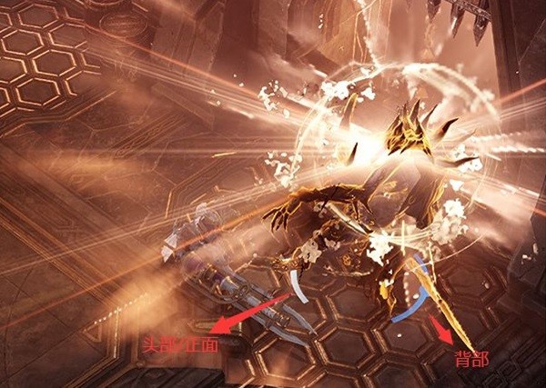 《命运方舟》战斗相关知识讲解