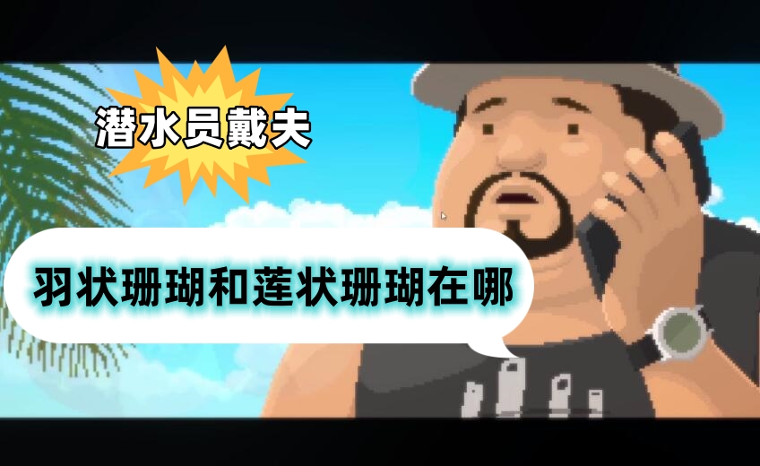潜水员戴夫羽状珊瑚和莲状珊瑚在哪