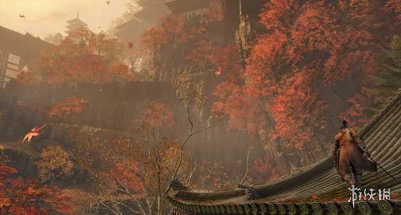 《只狼：影逝二度》Steam游戏名字介绍
