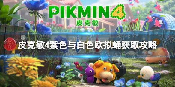 《皮克敏4》紫色与白色欧拟蛹获取攻略 紫色与白色欧拟蛹怎么获得？