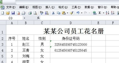 Microsoft Excel 2020怎样正确输入身份证号码-Microsoft Excel 2020正确输入身份证号码的方法