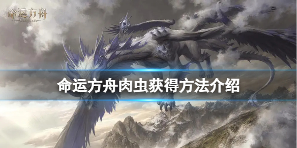《命运方舟》肉虫怎么获得？肉虫获得方法介绍