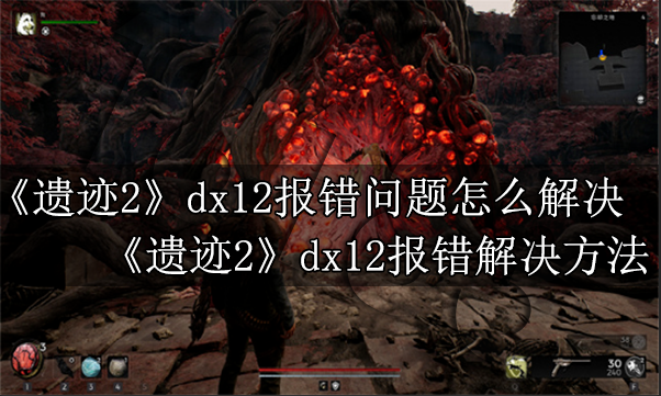 遗迹2dx12报错问题怎么解决 遗迹2dx12报错解决方法