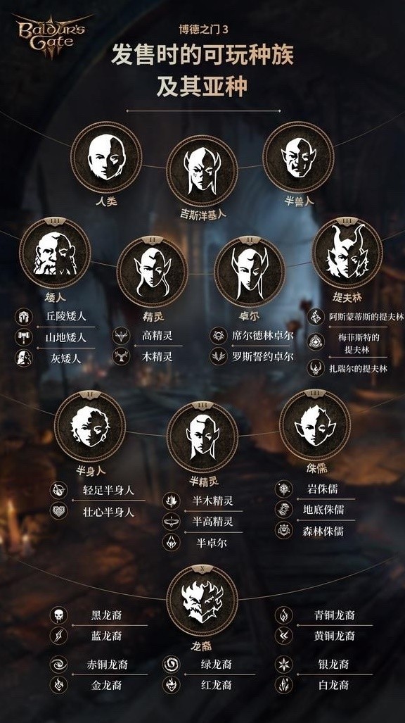 《博德之门3》正式版可选种族与职业一览 正式版新增种族职业有哪些
