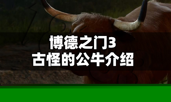 博德之门3古怪的公牛是什么 博德之门3古怪的公牛介绍