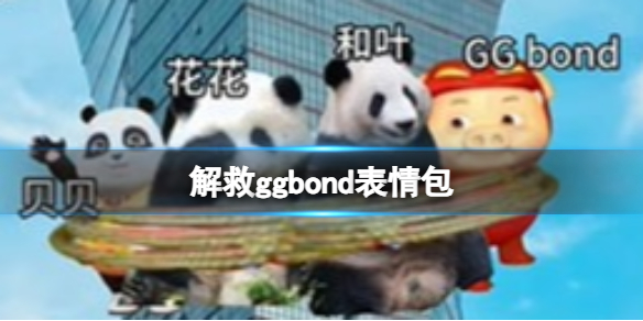 死猪表情包 解救ggbond表情包分享