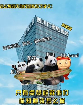 解救ggbond原图 ggbond图片分享