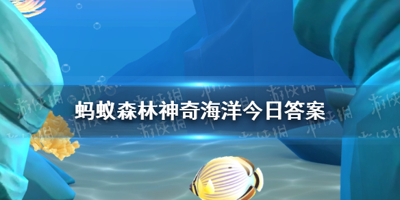 神奇海洋8.30 海马的骨骼结构无硬鳞还是无背脊