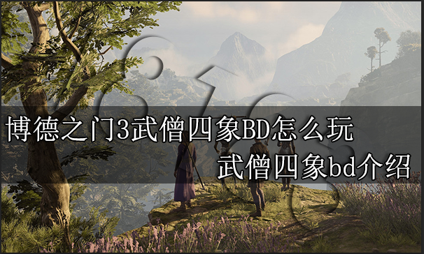 博德之门3武僧四象BD怎么玩 武僧四象bd介绍