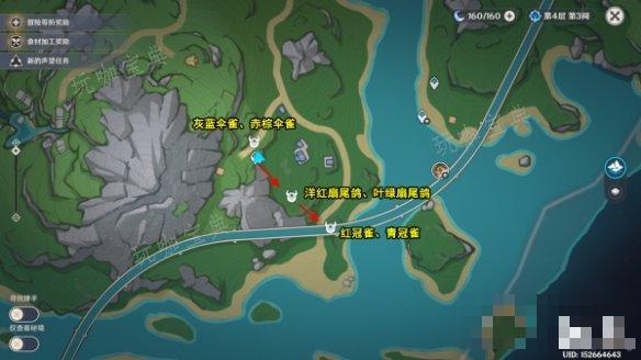 《原神》4.0新增捕获动物种类介绍