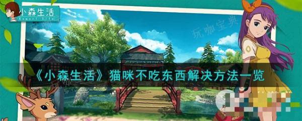 《小森生活》猫咪不吃东西解决方法介绍