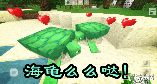 我的世界海龟蛋怎么孵化-叫你海龟蛋作用与孵化技巧