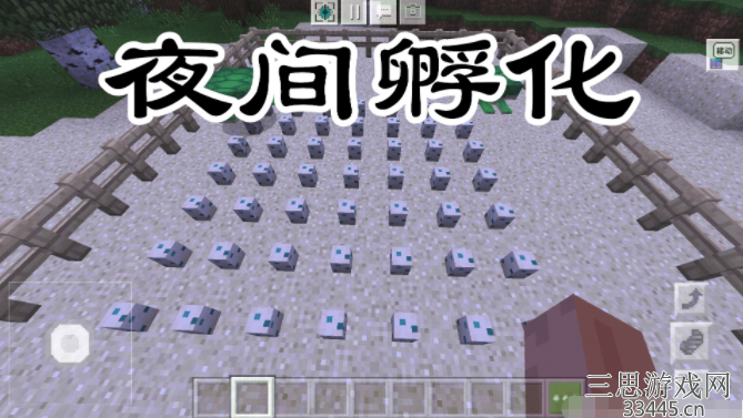 我的世界海龟蛋怎么孵化-叫你海龟蛋作用与孵化技巧