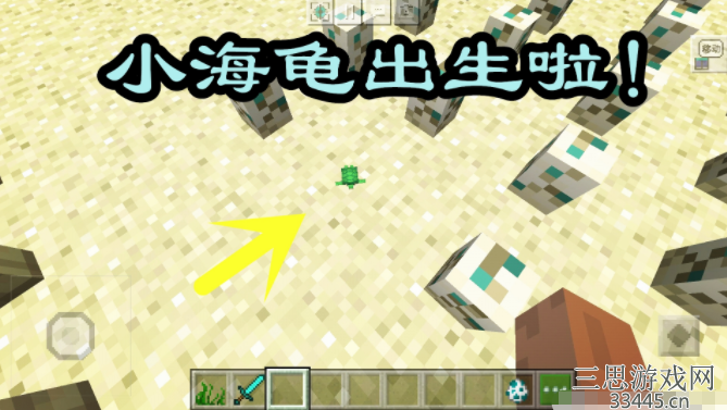 我的世界海龟蛋怎么孵化-叫你海龟蛋作用与孵化技巧