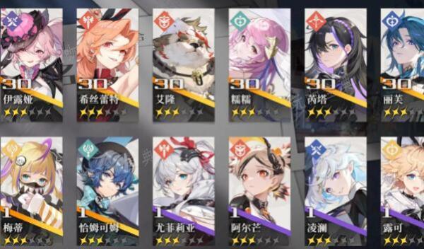 《依露希尔星晓》火队用火盾还是暗盾
