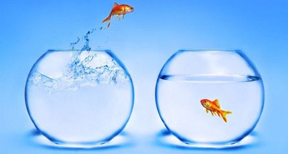 fishbowl手机测试打不开怎么回事  vivox90s/苹果养鱼测试网址打不开解决方法[多图]