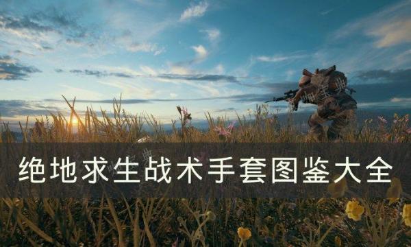 《绝地求生》战术手套有哪些？PUBG战术手套图鉴大全