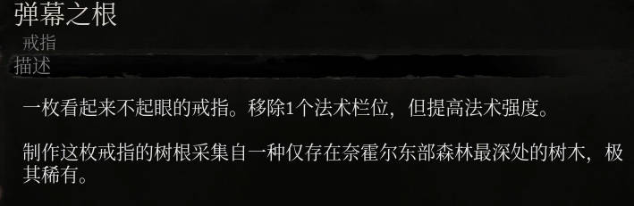 《堕落之主》弹幕之根介绍