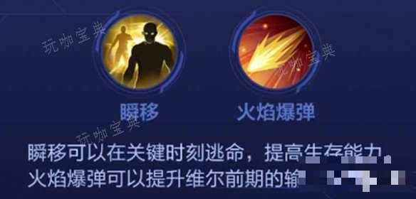 决胜巅峰维尔角色介绍
