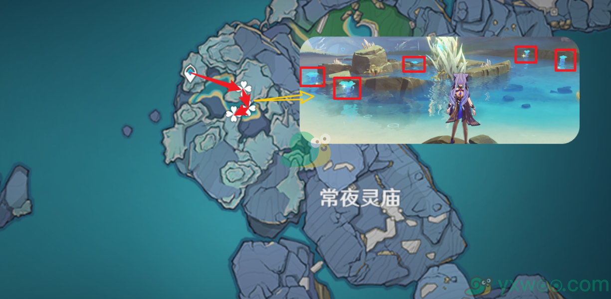 《原神》八重神子培养材料海灵芝采集位置