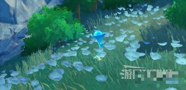 《原神》湖光铃兰位置及获取方法介绍 4.2湖光铃兰如何获得？